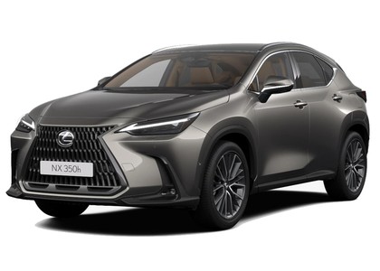 Ворсовые коврики на Lexus NX II 2021 - 2025 в Барнауле