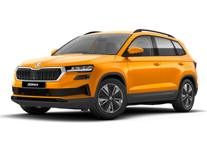 Коврики на Skoda Karoq 2017 - 2025 в Барнауле