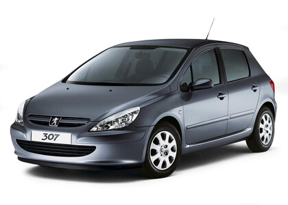 Ворсовые коврики на Peugeot 307 2001 - 2008 в Барнауле
