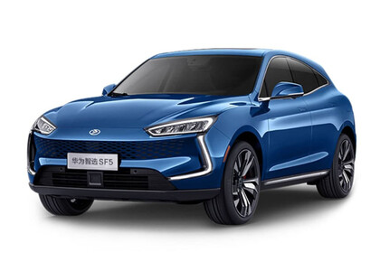 Ворсовые коврики на Seres SF5 2019&nbsp;-&nbsp;2022 в Барнауле