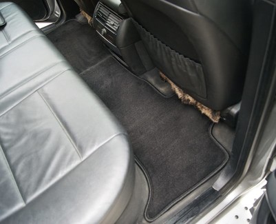 Ворсовые коврики на BMW X5 (E53) 1999 - 2006 в Барнауле
