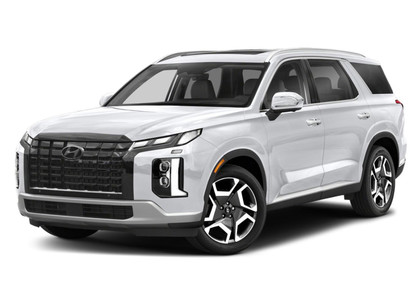 Ворсовые коврики на Hyundai Palisade 2018 - 2025 в Барнауле