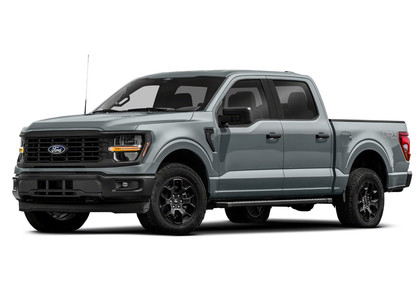 Ворсовые коврики на Ford F150 2020 - 2025 в Барнауле