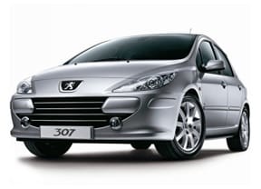 Коврики на Peugeot 307 2001 - 2008 в Барнауле