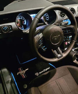 EVA коврики на Ford Mustang VI 2013 - 2023 в Барнауле EVA коврики на Ford Mustang VI 2013 - 2023 в Барнауле