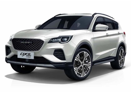 Коврики на Soueast DX8S 2022 - 2025 в Барнауле