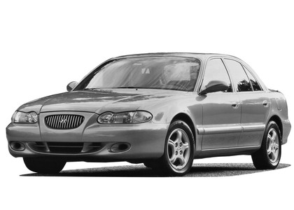 Ворсовые коврики на Hyundai Sonata 3 (Y3) 1993 - 1998 в Барнауле
