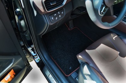 Коврики на Hyundai Santa Fe IV 2018 - 2021 в Барнауле